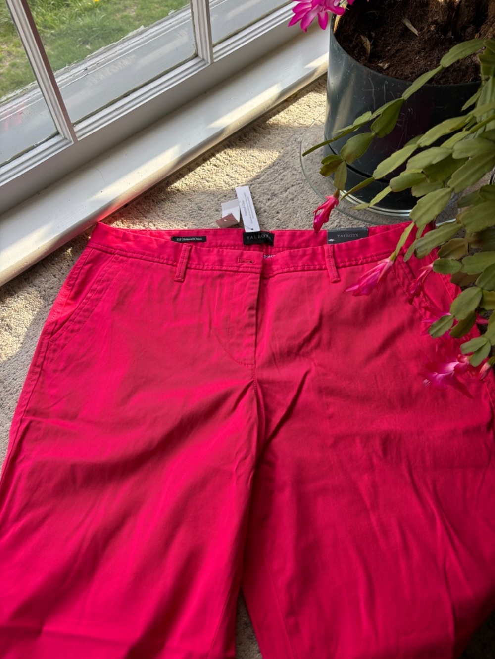 Talbots Hot Pink Chino Pants